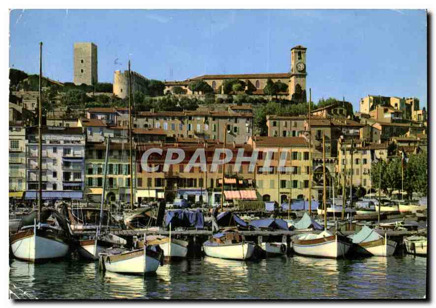 CPM Cannes Un coin du Port le Quai St Pierre et le Suquet 