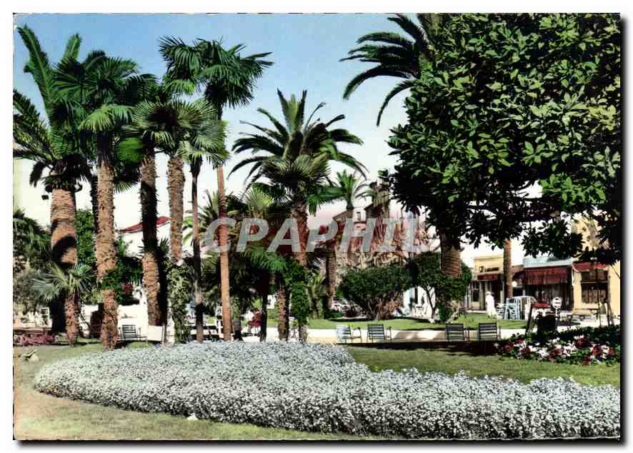 Cannes - Der Garten — Die Côte d'Azur — Éditions MAR