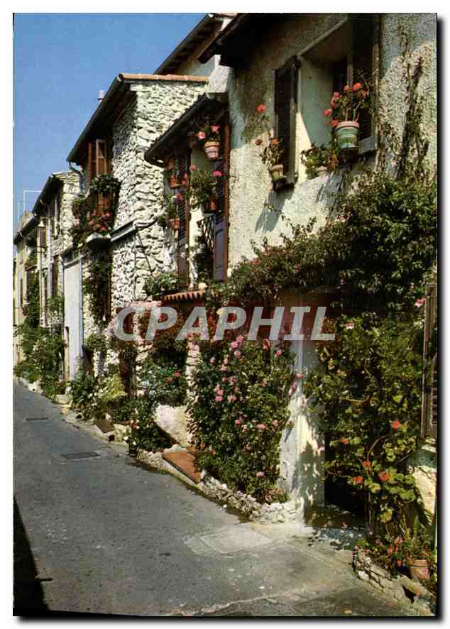 CPM Cote d'Azur Provence et ses vieilles reus fleuries Le vieil Antibes 
