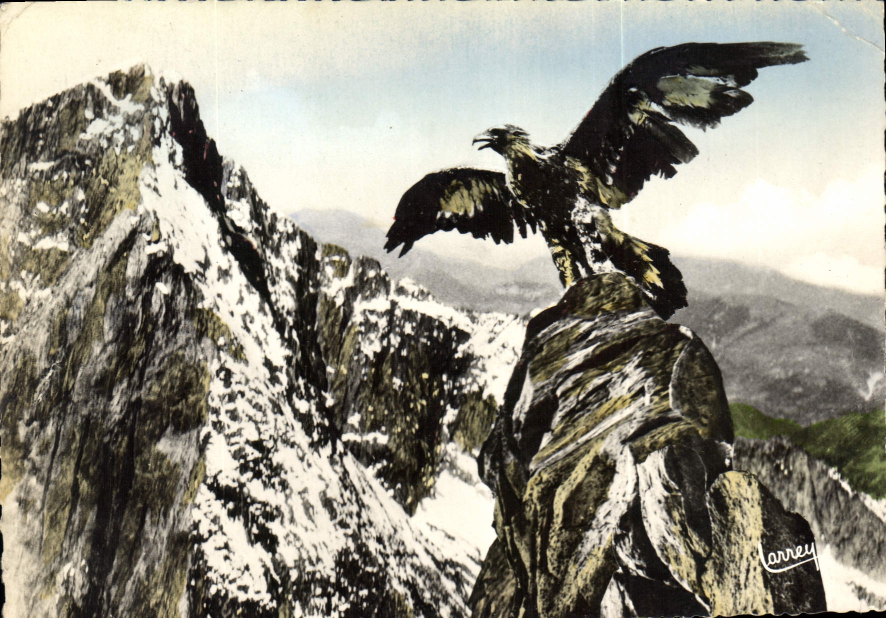 Les Pyrénées — L'aigle quittant son aire pour partir en chasse où il se montre l'un des plus forts et des plus courageux oiseaux de proie — Éditions d'Art Larrey, Toulouse