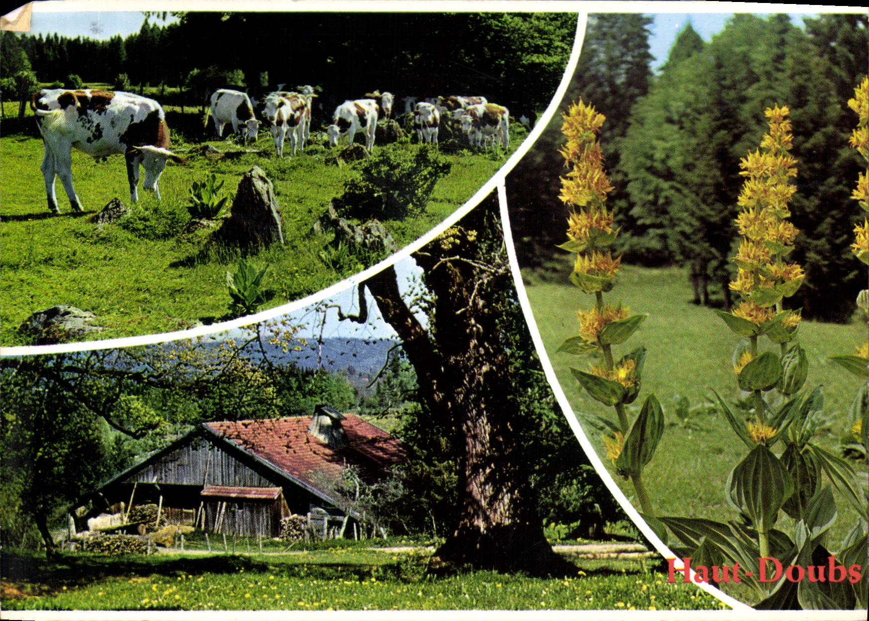Haut-Doubs — Aspects du Haut-Doubs — Éditions et Impressions Combier / Mâcon