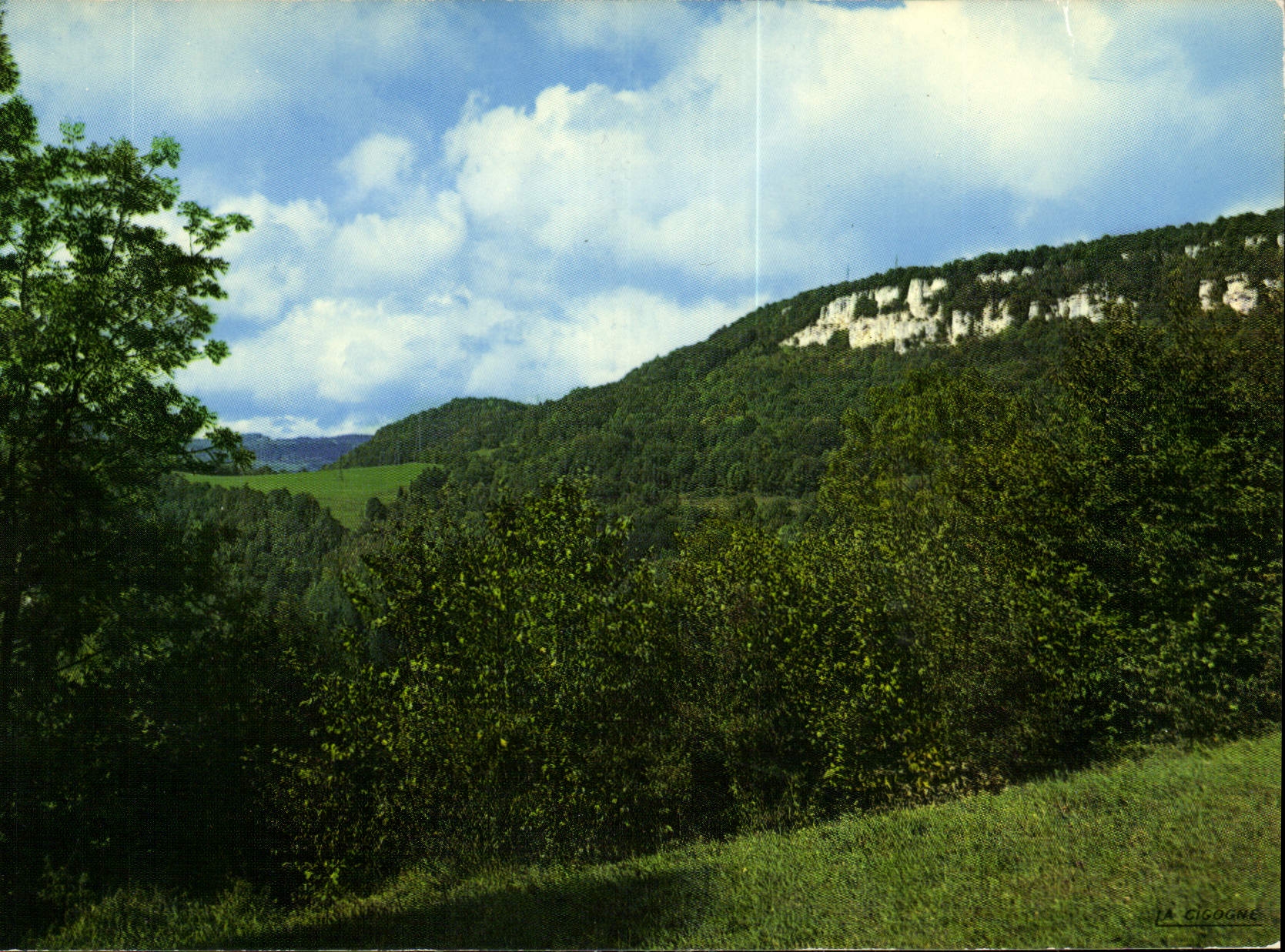 CPM Pres de Saint Hippolyte les Rochers de Montecheroux 