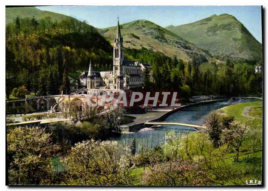 CPM Lourdes La Basilique le Gave et les nouveaux Ponts inaugures le Mars 1966 