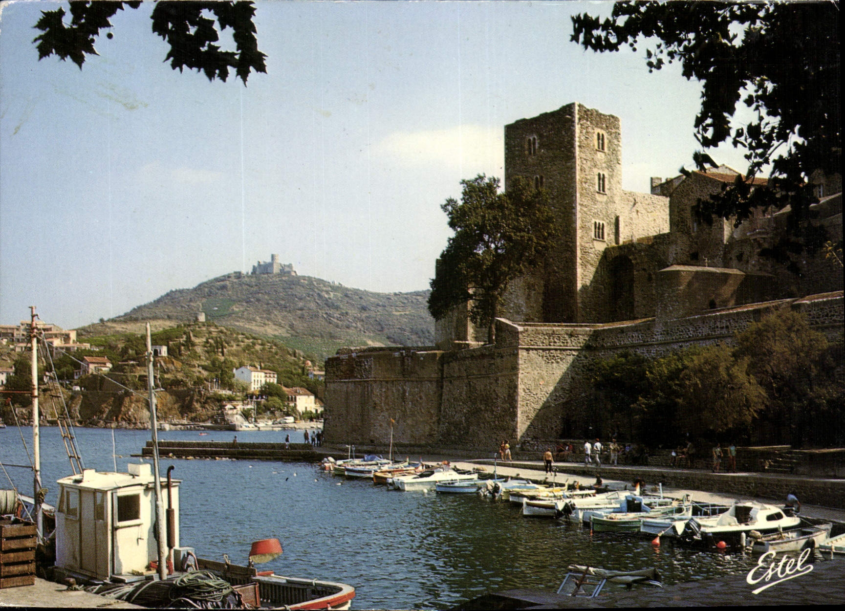 CPM La Cote Vermeille Collioure Pyrenees Orientales Le vieux port et le chateau 