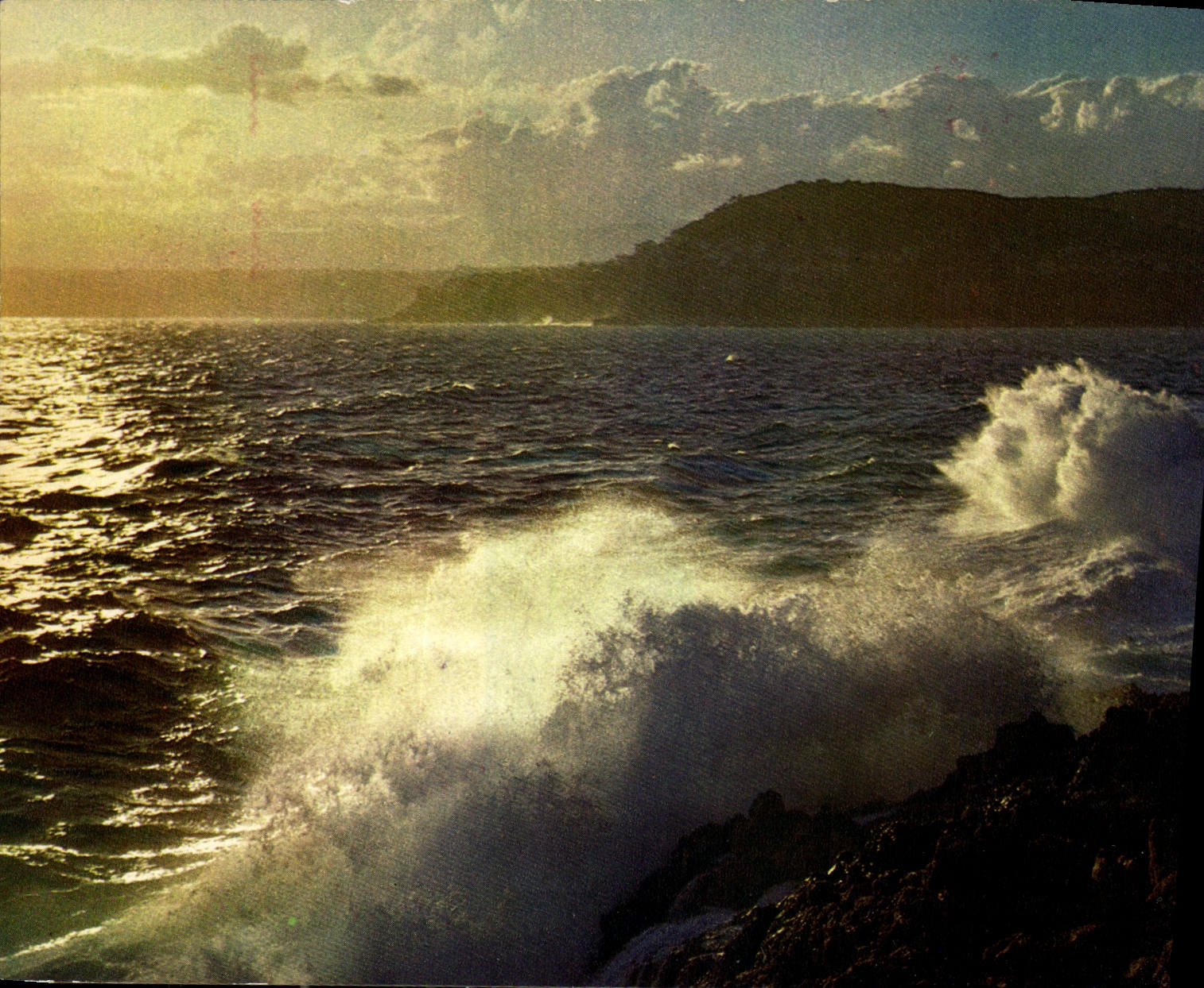 CPM Paysages Mediterraneens La mer en colers assaille les cochers 