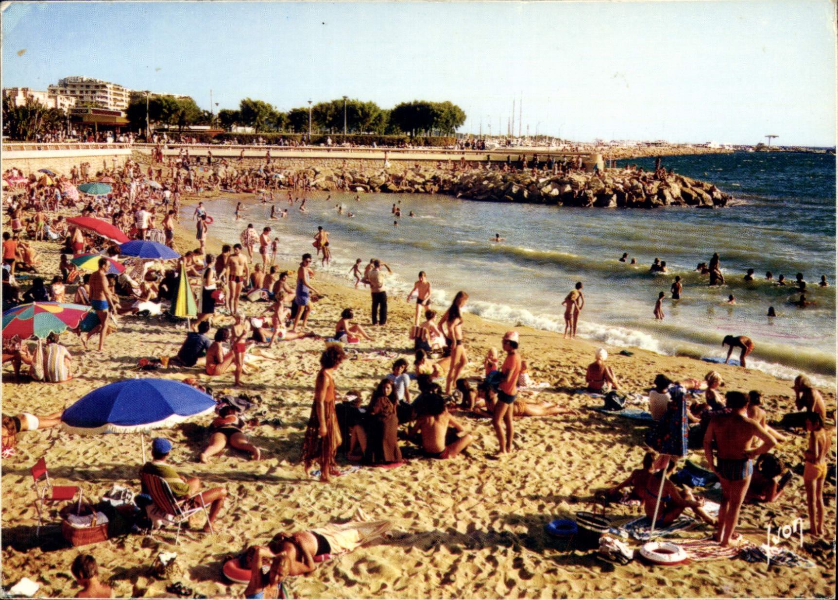 CPM Couleurs et Lumiere de France La Cote d'Azur miracle de la nature Cannes Alpes Maritimes L'une d