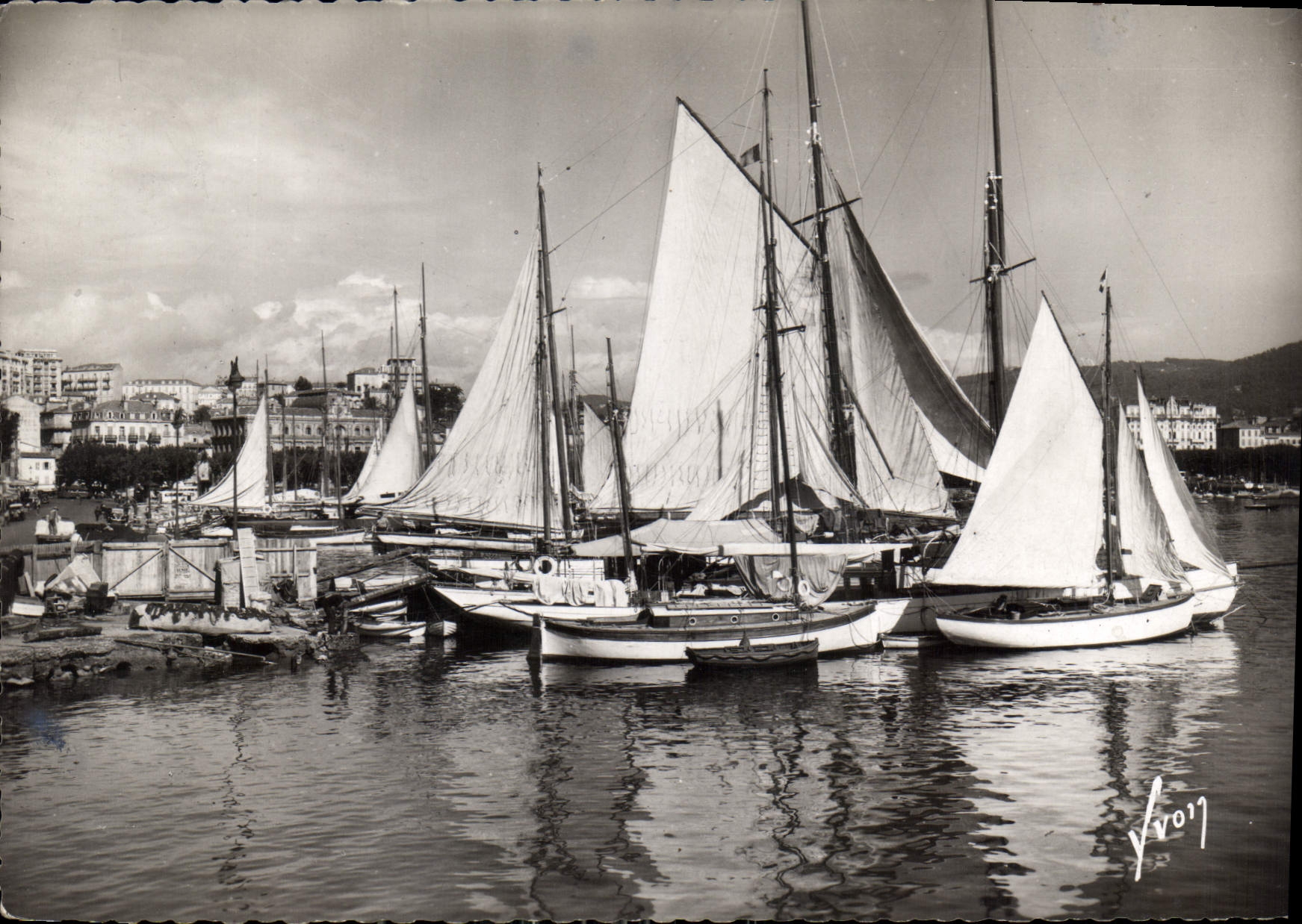 CPM Cannes Alpes Maritimes Voiliers au port 