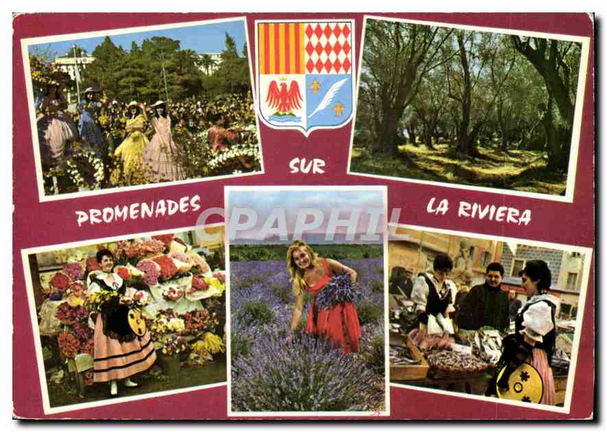 CPM Les Sites Merveilles de la Cote d'Azur Une bataille de fluers 