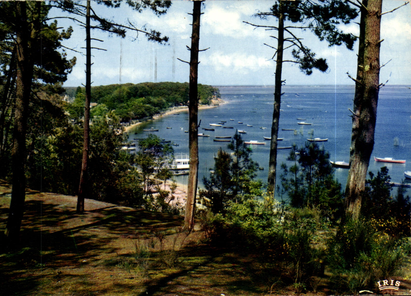 Bassin d'Arcachon — Vue sur la Pointe aux Chevaux — Éditions Mexichrome, n°33