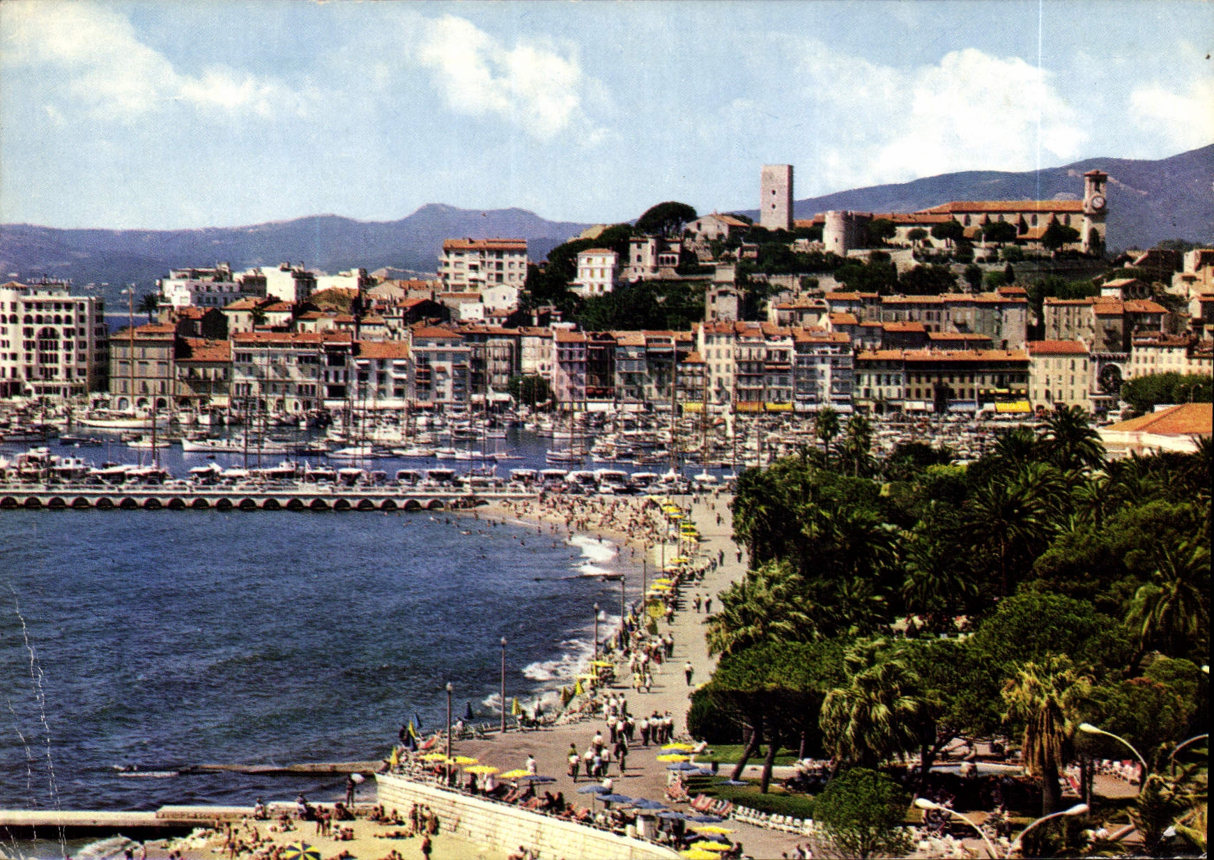 CPM La Cote d'Azur Cannes Le Port etle Suquet 