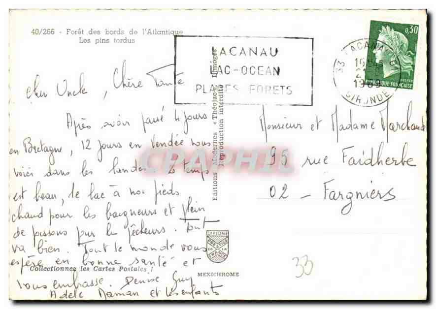 Forêt des bords de l'Atlantique — Les pins tordus — Éditions Acanaou — Verso
