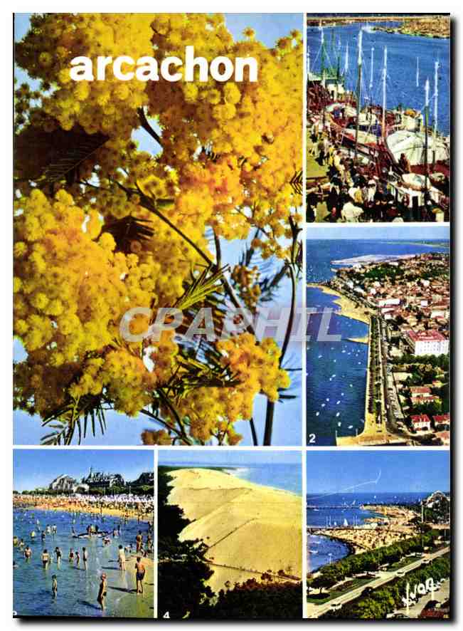 Arcachon — Vue du Ciel par Alain Perceval — Éditions du Tropéa