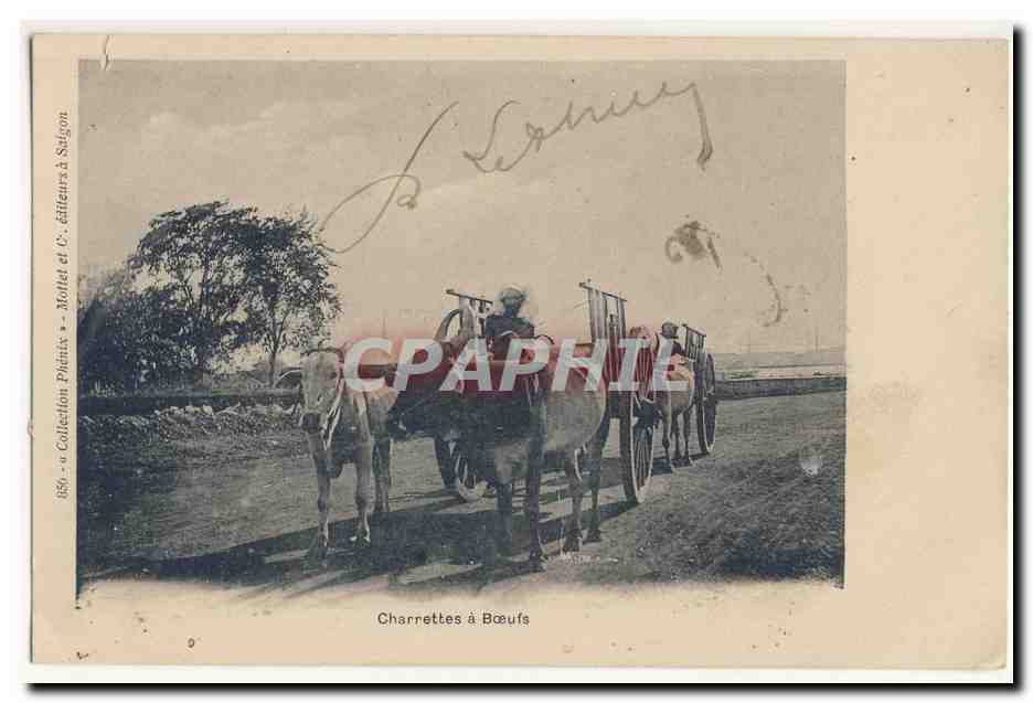 Charrettes a Boeufs Joug CPA