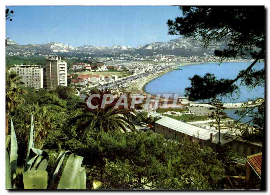 CPM Marseille Promenade de la corniche a travers les Pins vue generale de la Plage 