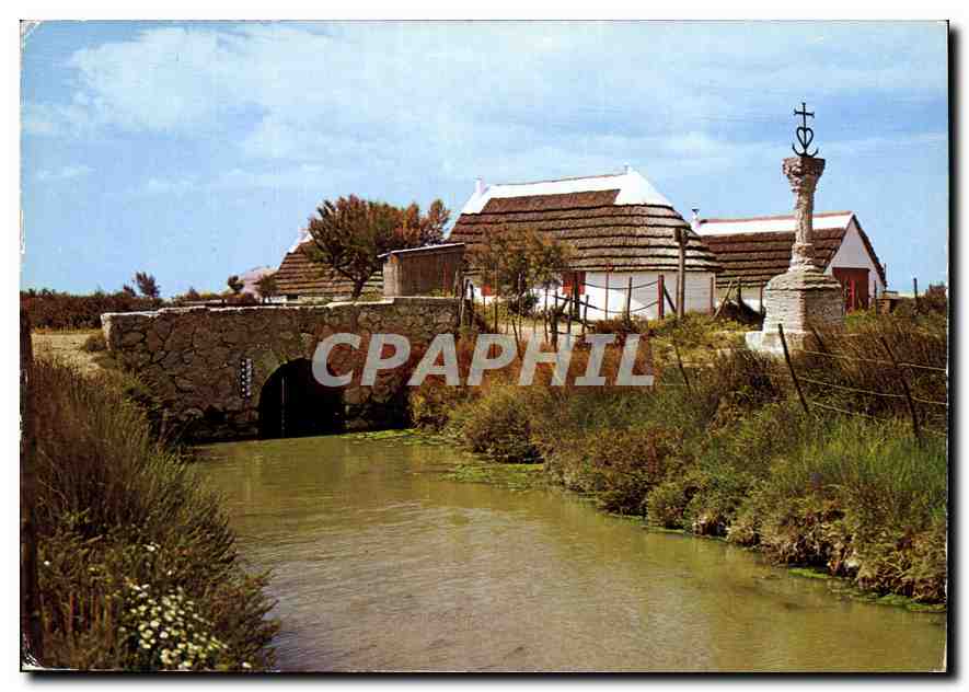 CPM En Camargue Bouches du Rhone le Pont du Mart la Croix des Gardians 