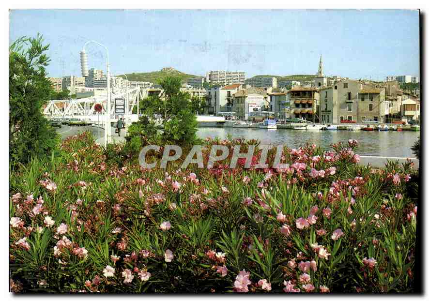 Martigues — Paysage de fleurs d'eau et de soleil — REFLETS DE PROVENCE