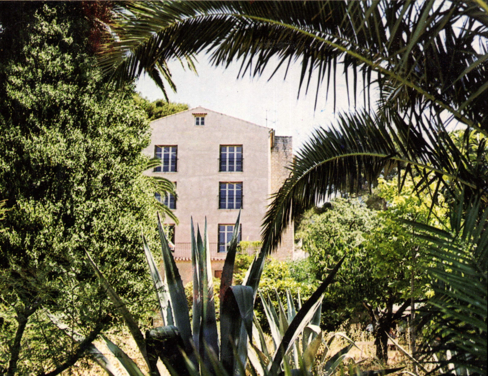 CPM La Rose de Noel Centre de Convalescence specialise Carqueiranne 