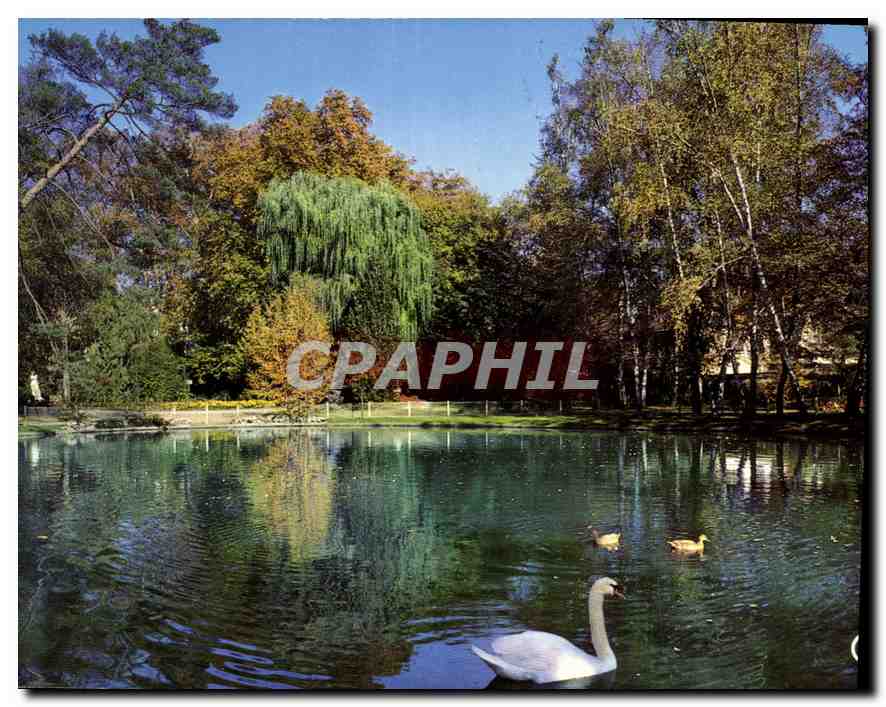 CPM Chateauroux Indre le Lac du Jardin public 