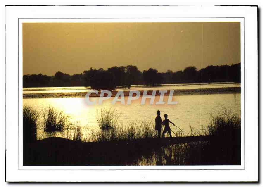 CPM Enfants coucher de soleil