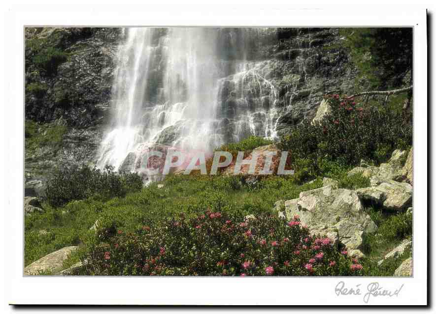 CPM Images de Chez Nous Fraicheur d'ete 