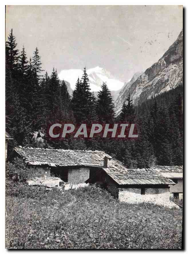 CPM A La Lisiere de la Foret 