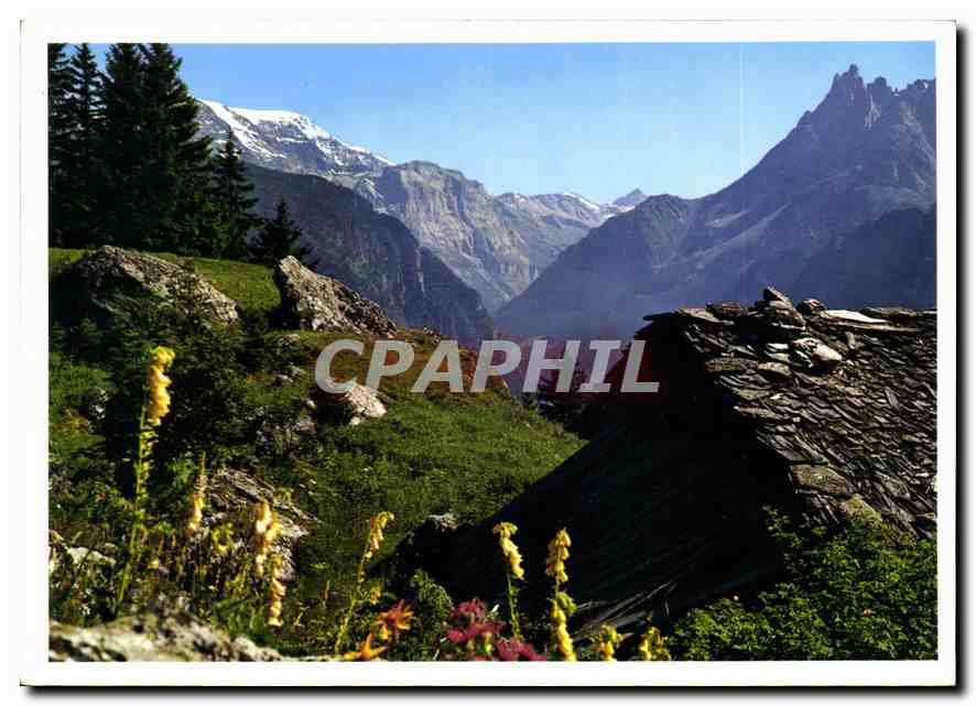 CPM Soleil et Montagne 