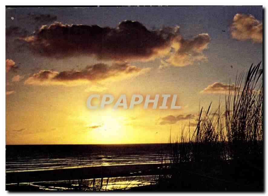 CPM Cote Atlantique Oyats au coucher du Soleil 