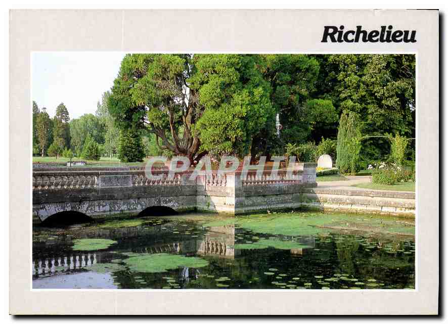 CPM Richelieu I et L Pont du Chateau et jardin 