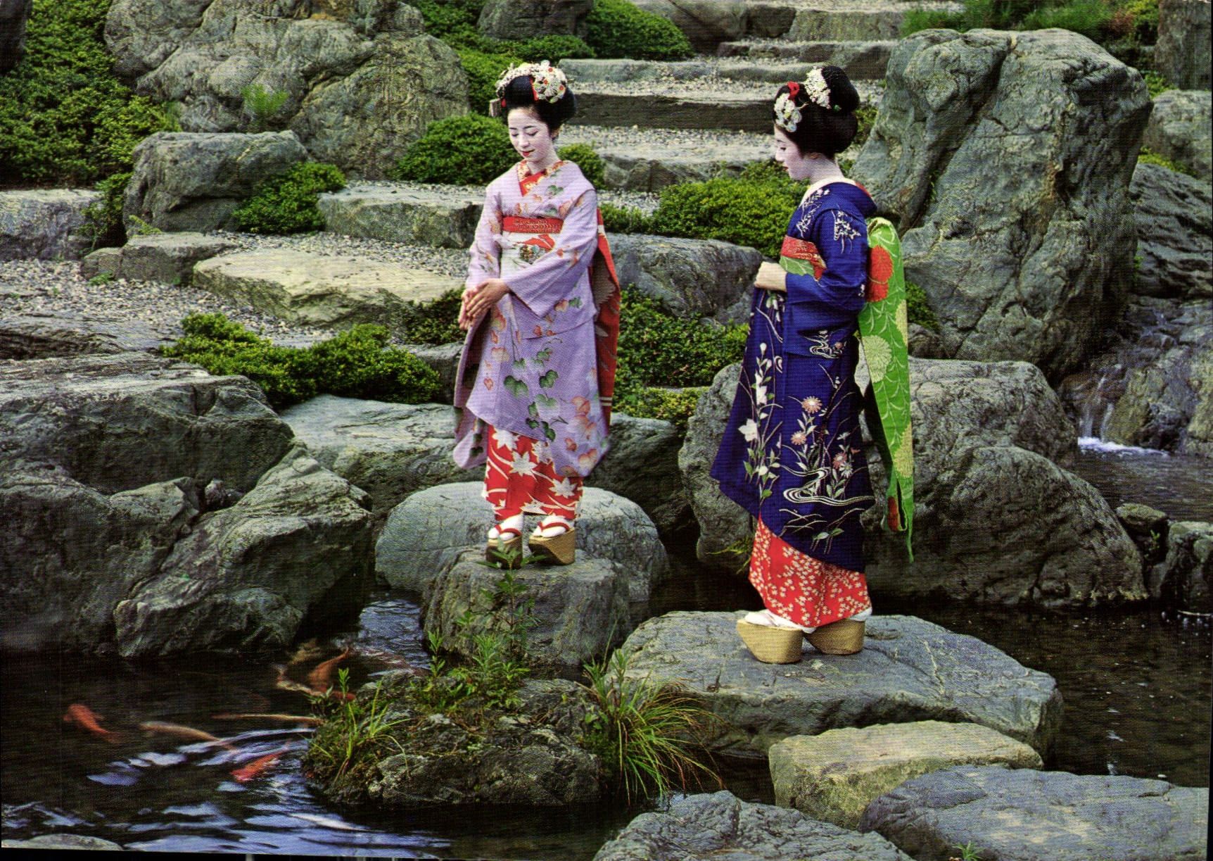 CPM Miako or dncing girls of the traditional Japan are seen feeding carps 