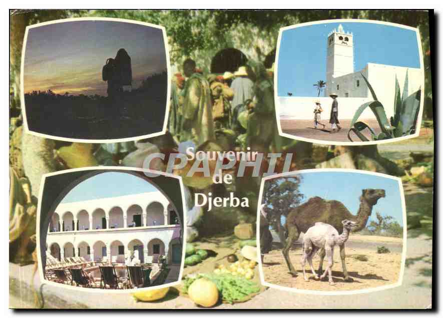 CPM Souvenir de Djerba 