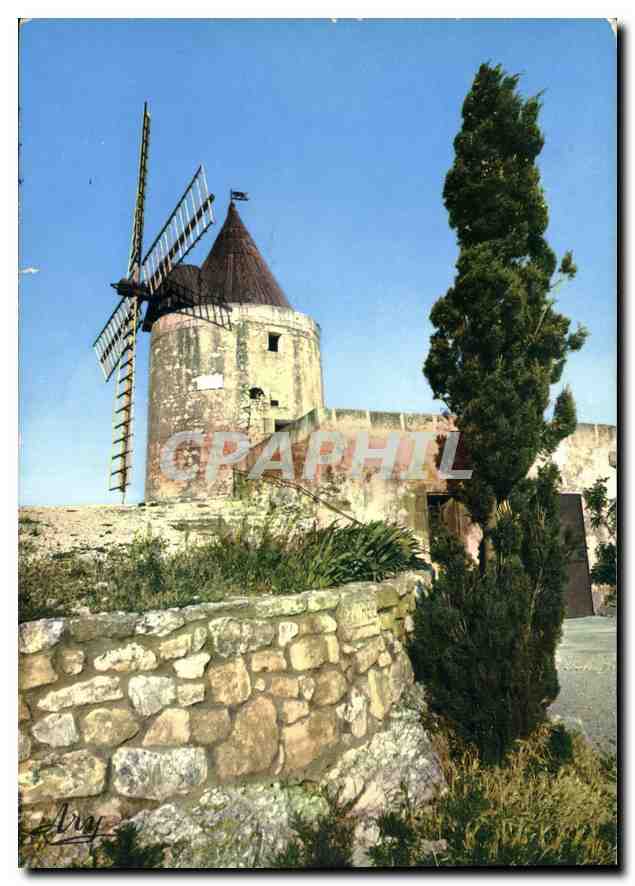 CPM Le moulin de Daudet a Fontvieille
