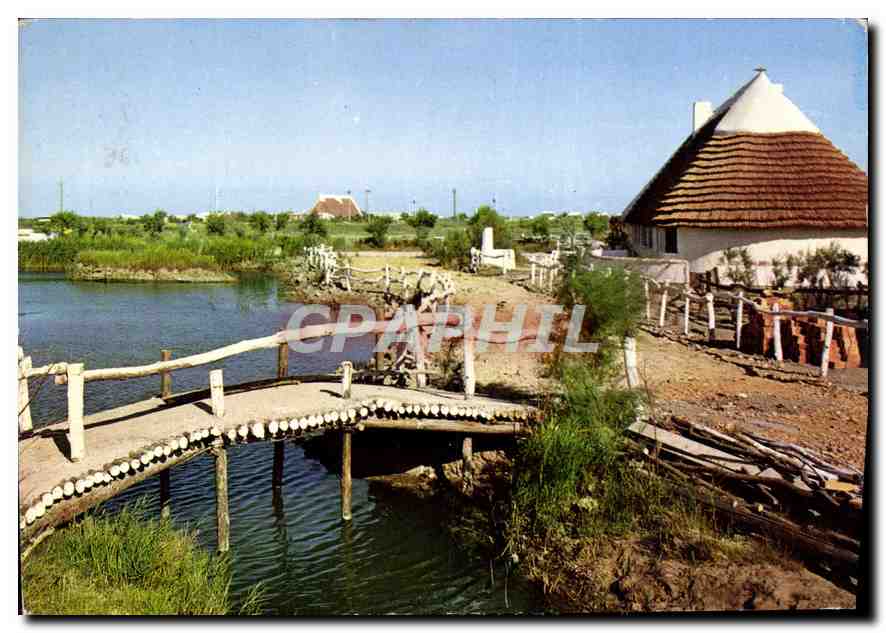 CPM Camargue Lumieres et Tradition Pont de bois sur une roubine 