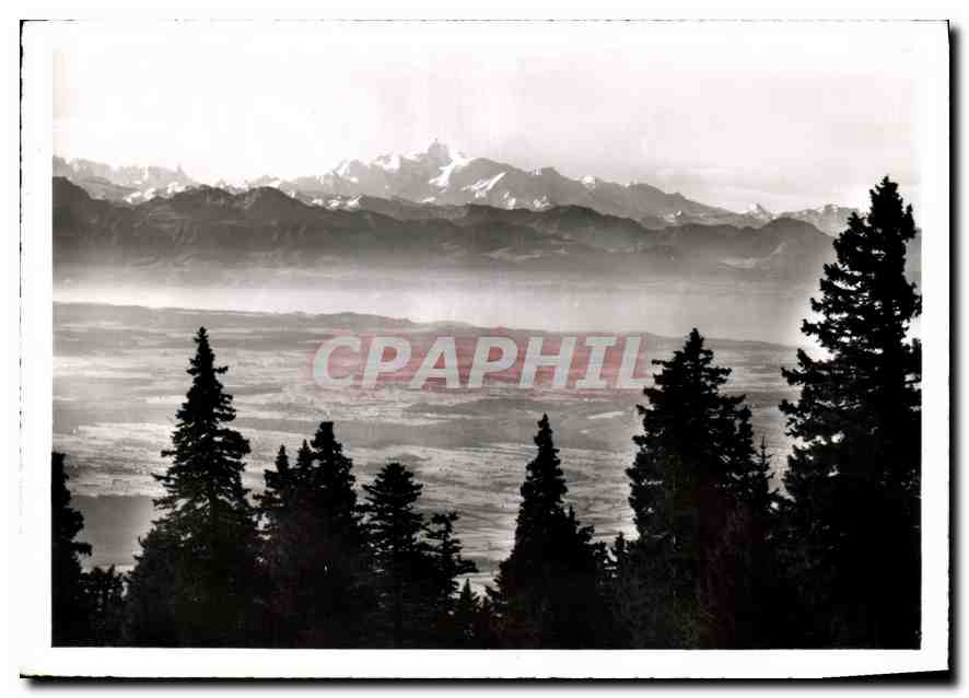 Le Mont Blanc et la Plaine vus du Chasseron — Photo-Édition A. DERIAZ, Baulmes, n°7143