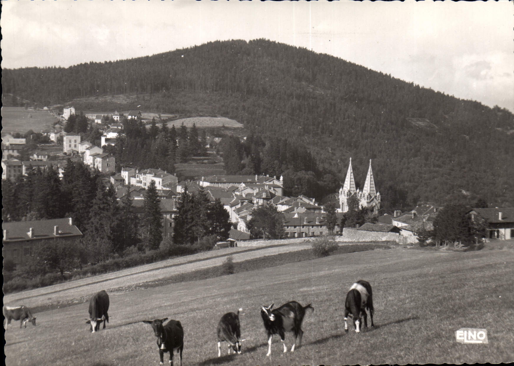 CPM La Louvesc Ardeche vue generale villas de la Fontaine et Mont Chaix Chevre Chevres