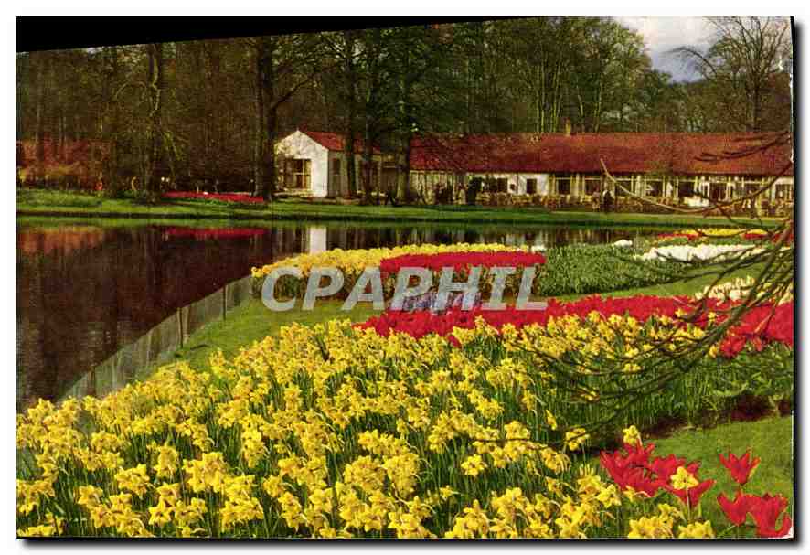 CPM Keukenhof Lisse Holland 
