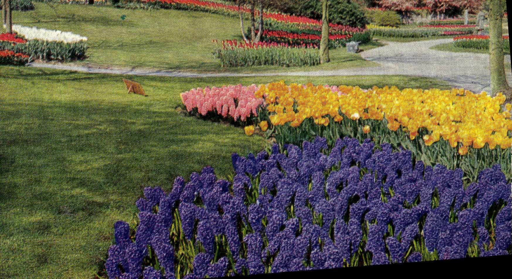 CPM Keukenhof Lisse Holland 