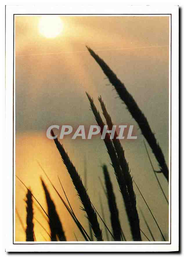 CPM Le soleil va porter le jour a d'autres mondes dans l'horizon desert Phebe monte sans bruit et je