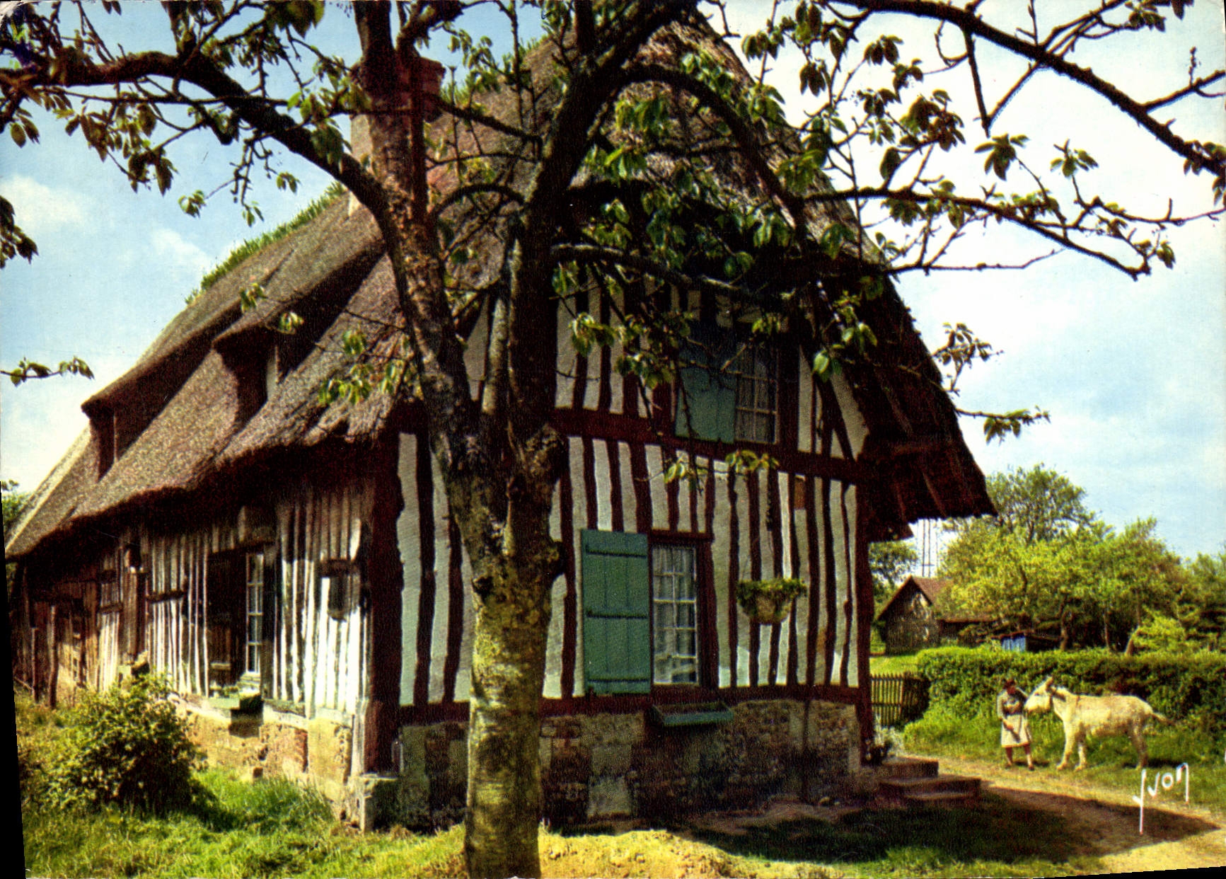 CPM Couleurs et Lumiere de France la luxurianre Normandie Chaumieres Normandes 