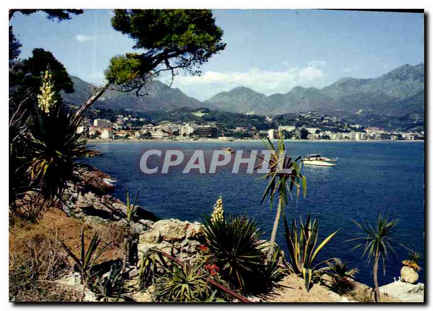 CPM La Cote d'Azur le Cap Martin au fond Menton 