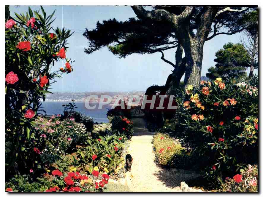 CPM Nice Capitale Mondiale du Tourisme Echappee sur la Baie des Anges a travers les Massifs fleuris 