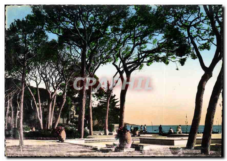 JUAN-LES-PINS — Vue du parc bordant la mer — Les Éditions FRANK, 703