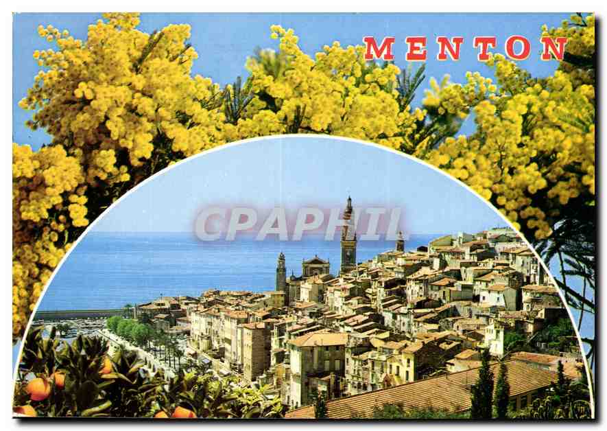 CPM Menton Cote d'Azur la vieille ville 