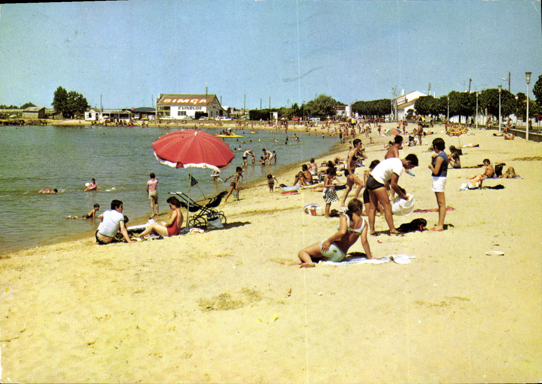CPM Cote des Fleurs L'Aiguillon S/Mer Vendee la Plage 