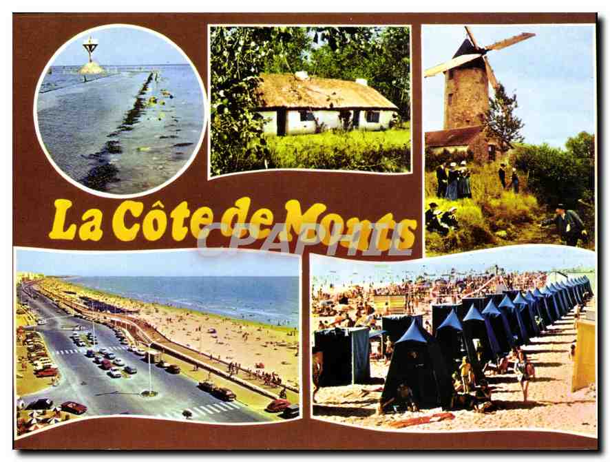CPM La Cote de Monts Vendee le Gois Noirmoutier Bourrines Folklore bouquets d'ajoncs St Jean de Mont
