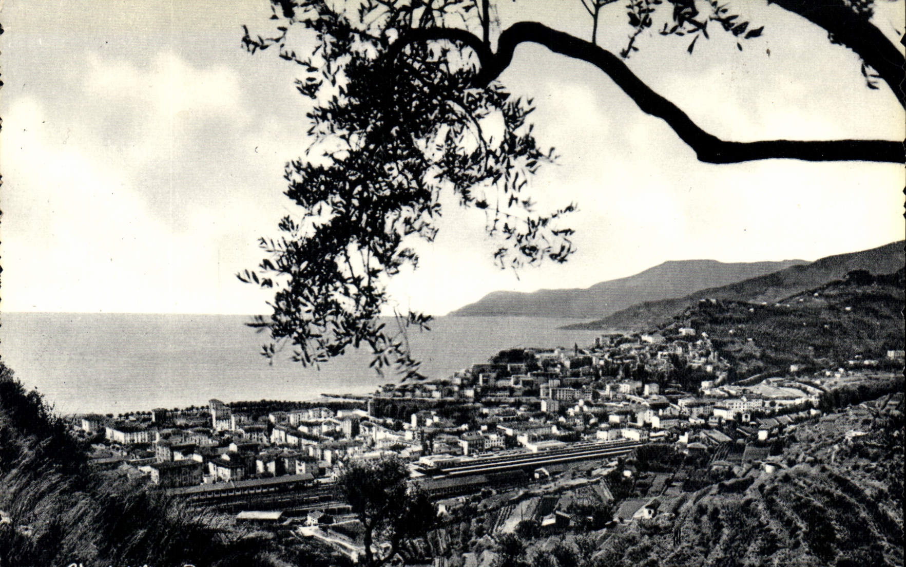 CPM Riviera del Fiori Ventimiglia Vue generale 