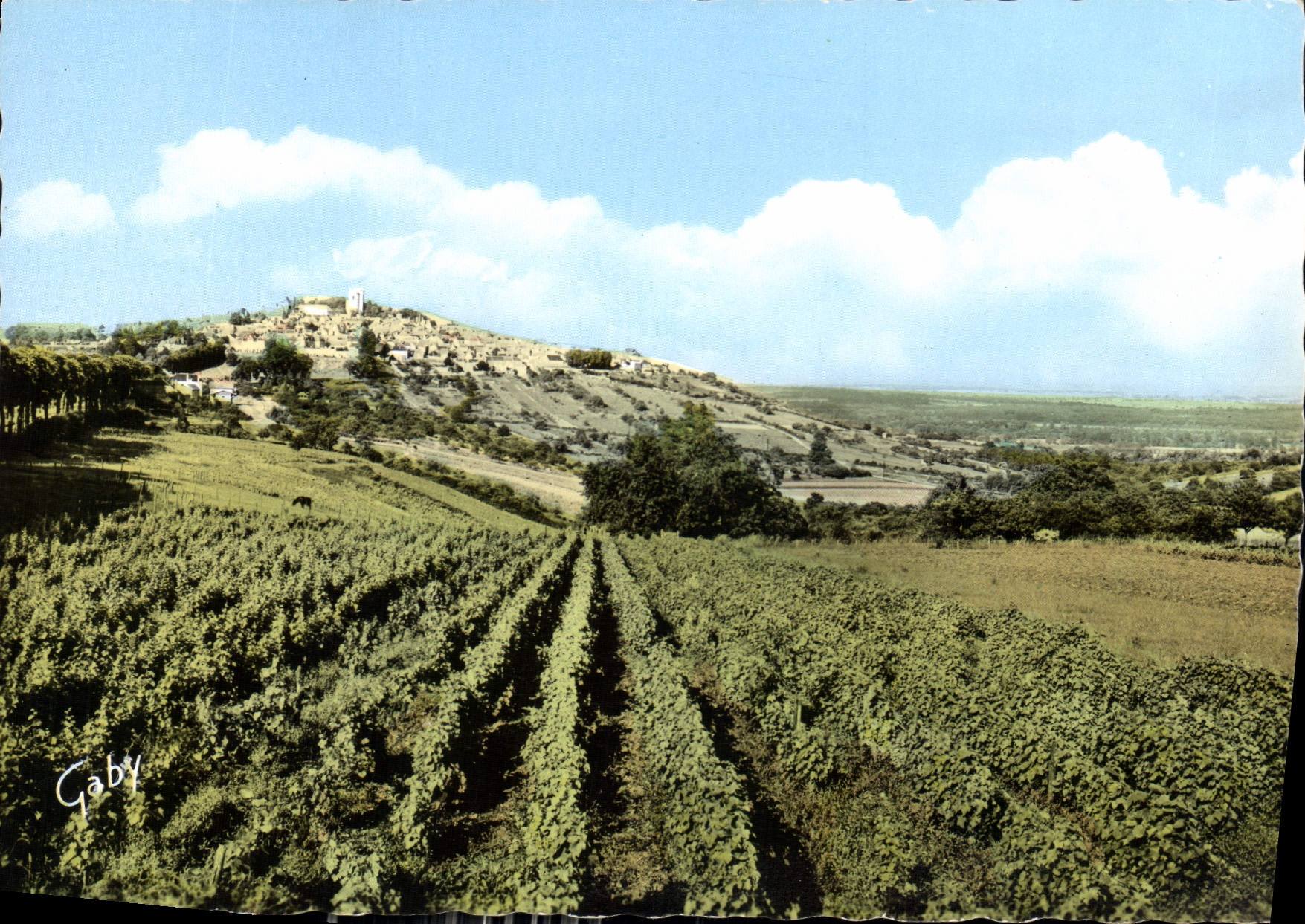 CPM Sancerre Cher les Vignobles et la Ville Vus de la Route de Bourges 