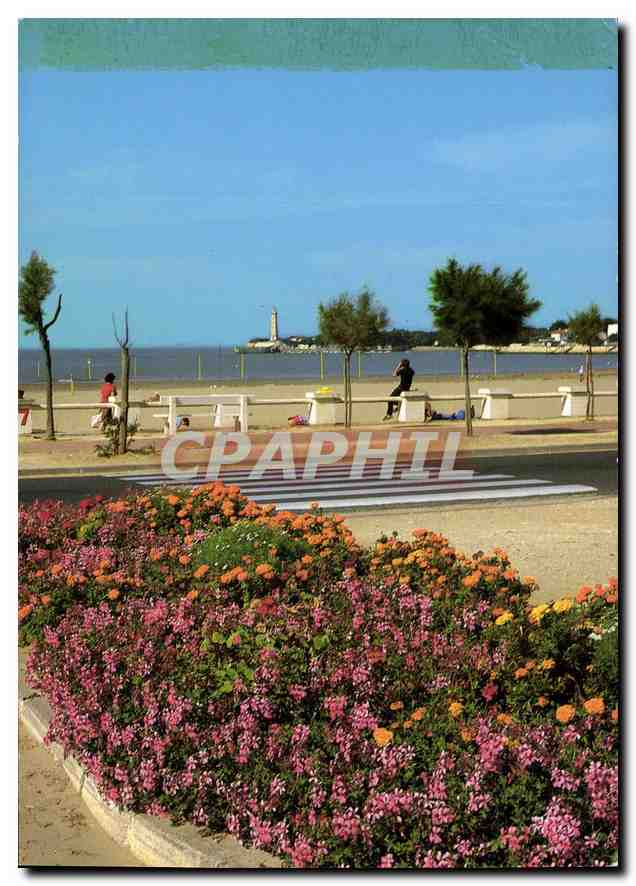 CPM Saint georges de Didonne Ch Mme Parterre fleuri et perspective vers le Phare et le Port 