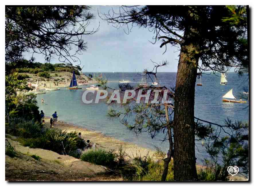 CPM Ile de Re Charente Maritime Les Portes Le Fier Anse de Trousse Chemise 
