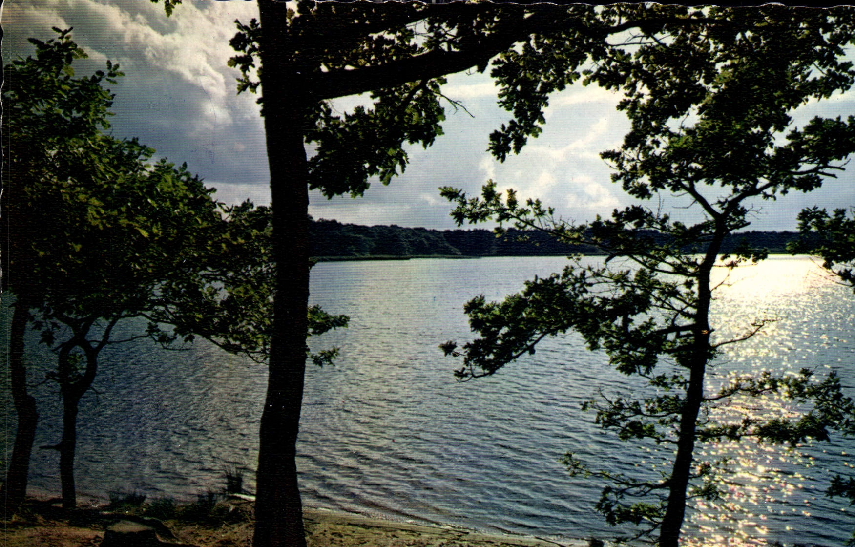 CPM En Berry L'etang etalt ce soir la calme comme les darniers jours de l'automne 