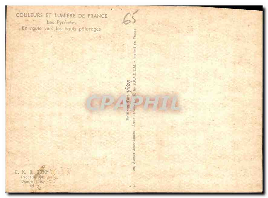 CPM Couleurs et Lumiere de France Les Pyrenes En route vers les hauts paturages Vaches — Verso